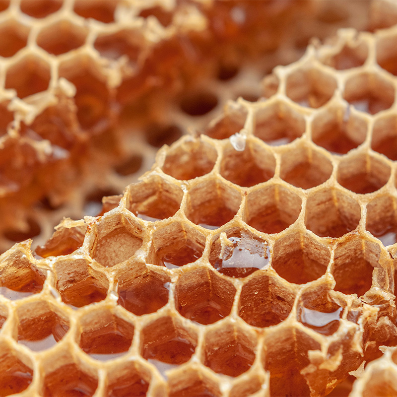 Close-up of honeycomb cells filled with honey