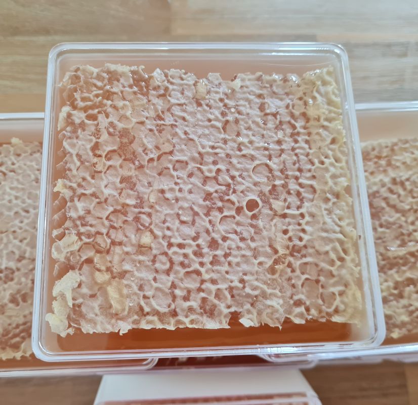 Top view of one plastic tub filled with honeycomb and Alava Honey logo